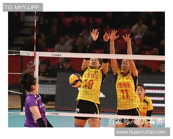 南京排球队技术对比深度解析与未来发展趋势探讨 南京排球队技术对比深度解析与未来发展趋势探讨